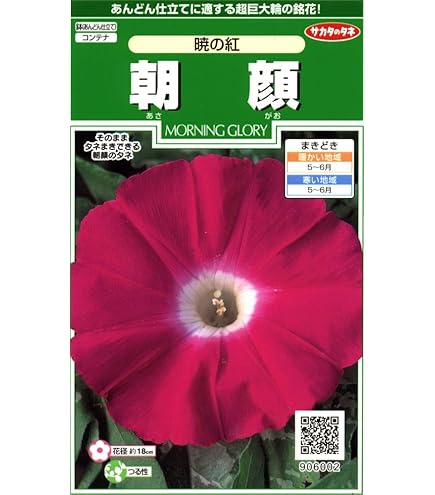 Amazon.co.jp: 種 花たね 日本朝顔 薄青 1袋（10粒) / 花種 アサガオ